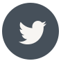 twitter icon